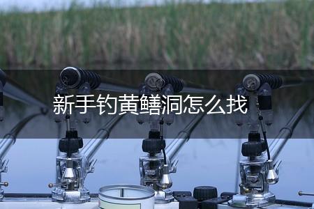 新手钓黄鳝洞怎么找,第1张