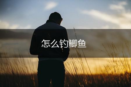 怎么钓鲫鱼,第1张