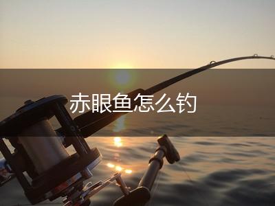 赤眼鱼怎么钓,第1张
