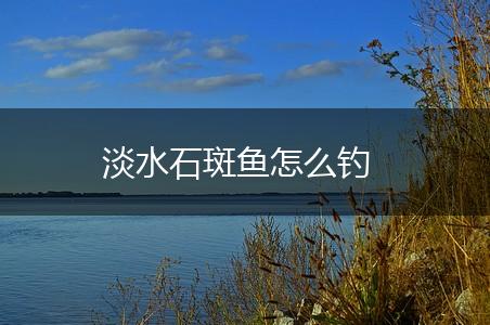 淡水石斑鱼怎么钓,第1张