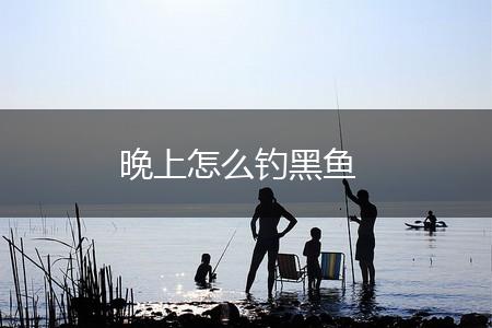 晚上怎么钓黑鱼,第1张