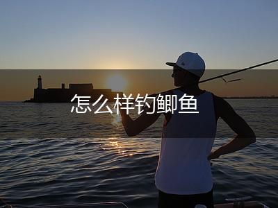 怎么样钓鲫鱼,第1张