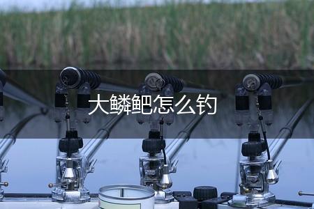 大鳞鲃怎么钓,第1张