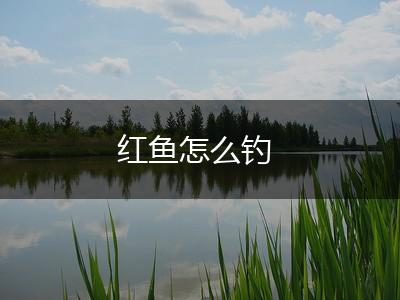 红鱼怎么钓,第1张