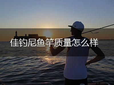 佳钓尼鱼竿质量怎么样,第1张