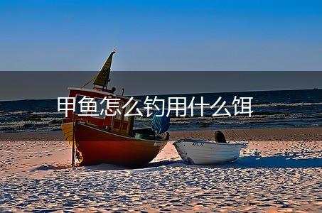 甲鱼怎么钓用什么饵,第1张