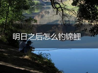 明日之后怎么钓锦鲤,第1张