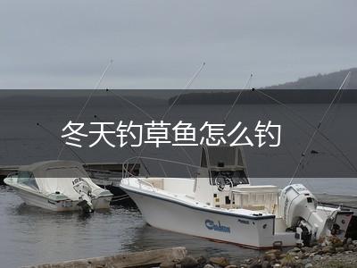 冬天钓草鱼怎么钓,第1张