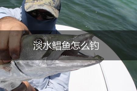 淡水鲳鱼怎么钓,第1张