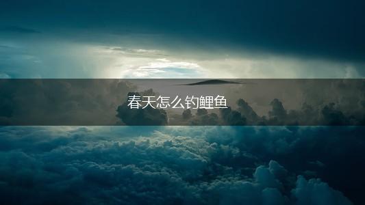 春天怎么钓鲤鱼,第1张