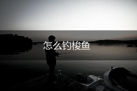 怎么钓梭鱼,第1张