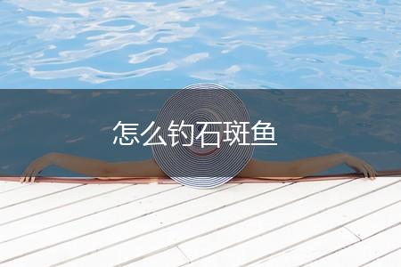 怎么钓石斑鱼,第1张