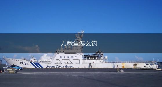 刀鳅鱼怎么钓,第1张