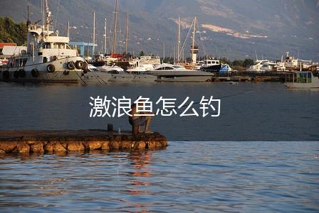 激浪鱼怎么钓,第1张