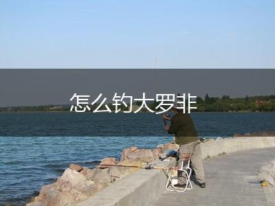 怎么钓大罗非,第1张