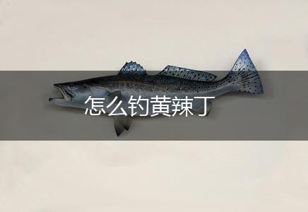 怎么钓黄辣丁,第1张