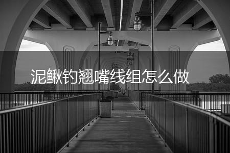 泥鳅钓翘嘴线组怎么做,第1张
