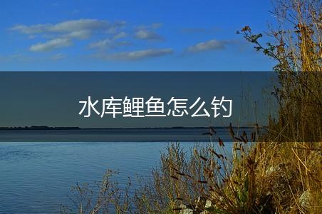 水库鲤鱼怎么钓,第1张