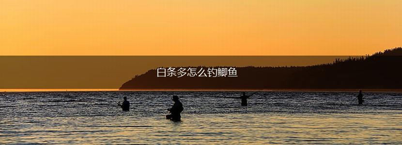 白条多怎么钓鲫鱼,第1张