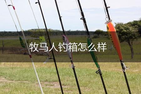 牧马人钓箱怎么样,第1张