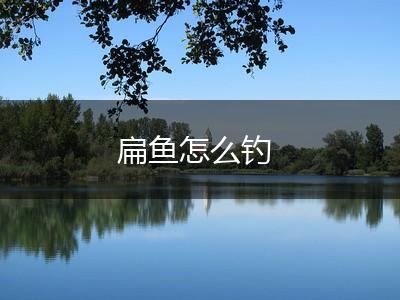 扁鱼怎么钓,第1张