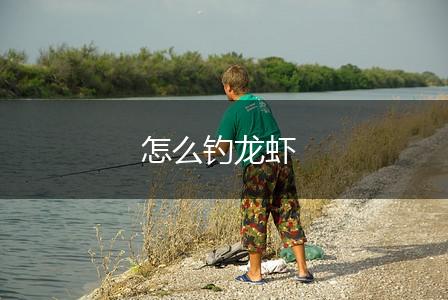 怎么钓龙虾,第1张