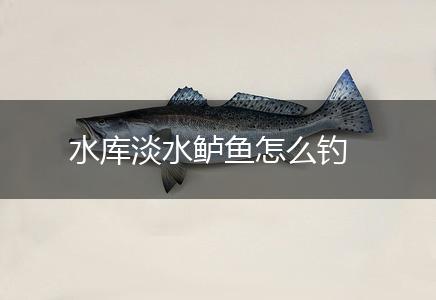 水库淡水鲈鱼怎么钓,第1张