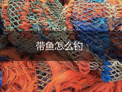 带鱼怎么钓,第1张
