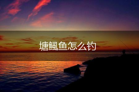 塘鲺鱼怎么钓,第1张