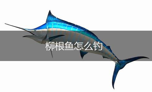 柳根鱼怎么钓,第1张