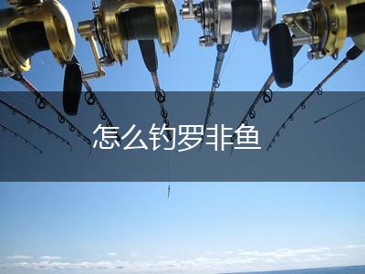 怎么钓罗非鱼,第1张