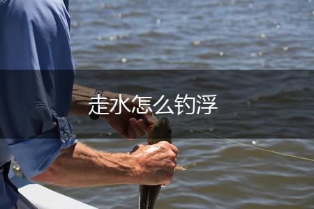 走水怎么钓浮,第1张