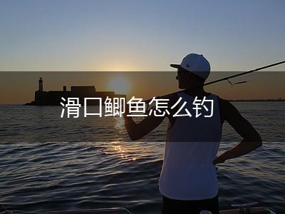 滑口鲫鱼怎么钓,第1张
