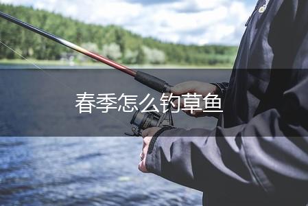 春季怎么钓草鱼,第1张