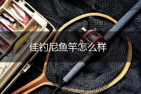 佳钓尼鱼竿怎么样,第1张