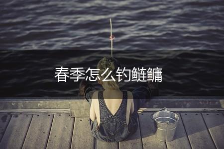 春季怎么钓鲢鳙,第1张