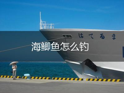 海鲫鱼怎么钓,第1张