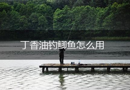 丁香油钓鲫鱼怎么用,第1张