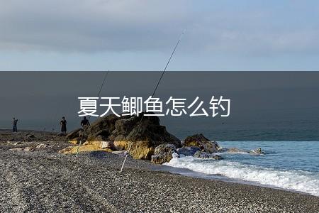 夏天鲫鱼怎么钓,第1张