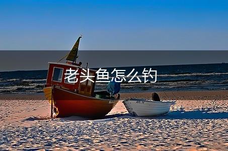 老头鱼怎么钓,第1张