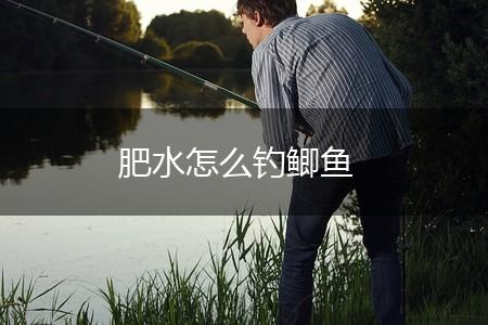 肥水怎么钓鲫鱼,第1张