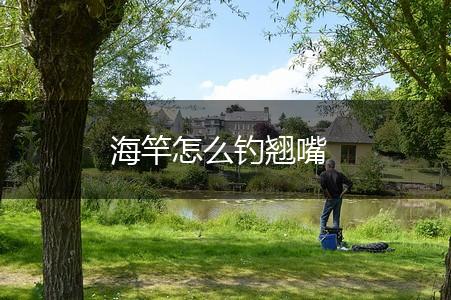 海竿怎么钓翘嘴,第1张