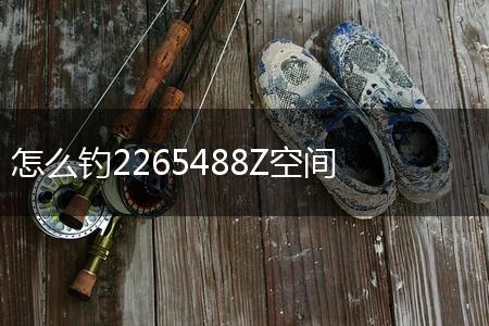 怎么钓2265488Z空间,第1张
