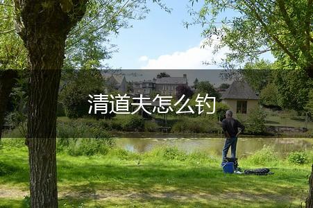 清道夫怎么钓,第1张