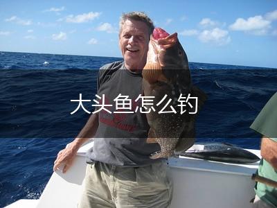 大头鱼怎么钓,第1张