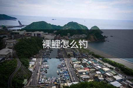 裸鲤怎么钓,第1张