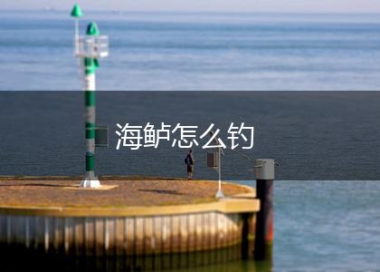 海鲈怎么钓,第1张