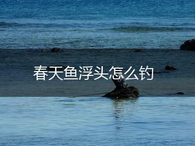 春天鱼浮头怎么钓,第1张