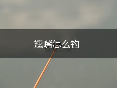 翘嘴怎么钓,第1张