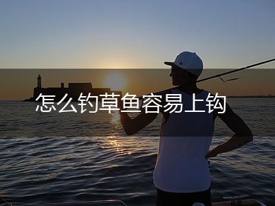 怎么钓草鱼容易上钩,第1张